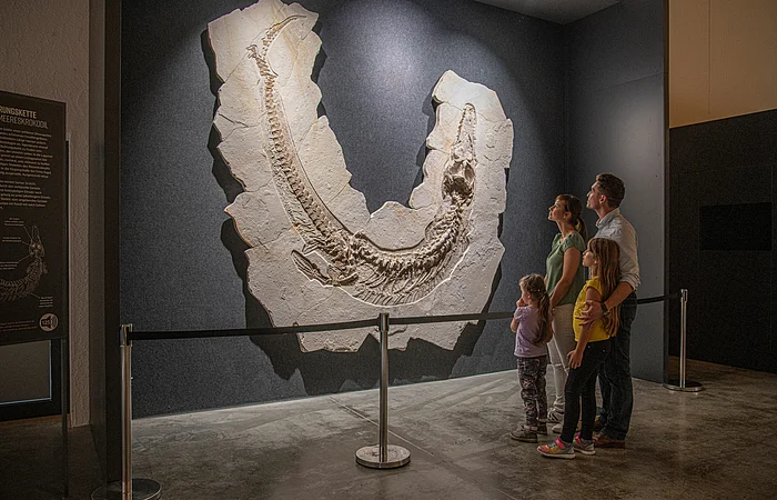 Familie mit zwei Kindern betrachtet großes versteinertes Skelett eines Meereskrokodils in Museumsausstellung.