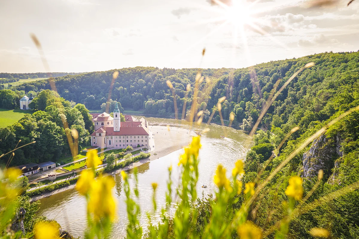 Fluss mit Schloss am Ufer, umgeben von Wald und gelben Blumen im Vordergrund bei Sonnenschein