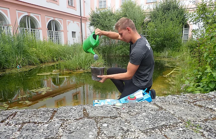 Junger Mann gießt mit grüner Gießkanne eine Pflanze neben einem Teich in einem Innenhof mit rosa-weißen Gebäuden.