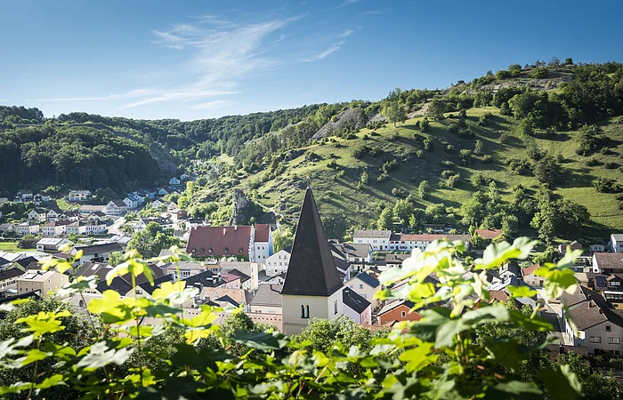 Blick auf ein Dorf mit Kirchturm vor bewaldeten Hügeln und blauem Himmel, im Vordergrund grüne Blätter.