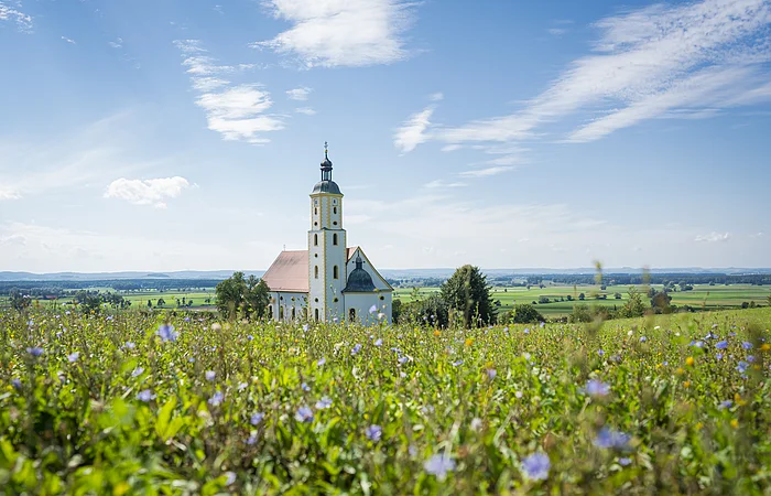 Kirche mit Turm hinter blühendem Feld unter blauem Himmel mit Wolken in ländlicher Umgebung