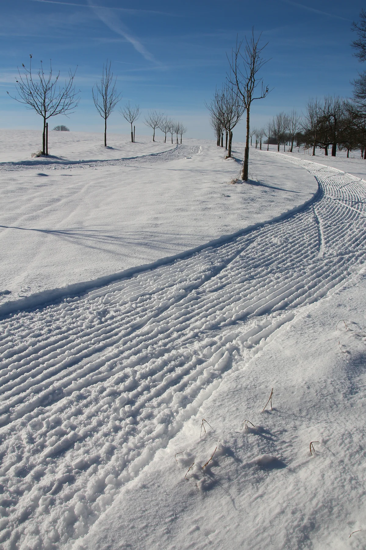 Schneebedeckter Weg mit Spuren und kahlen Bäumen unter blauem Himmel im Winter.