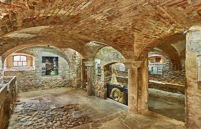 Historischer Kellerraum mit gewölbter Decke aus Backstein und Ausstellungsstücken an den Steinwänden.