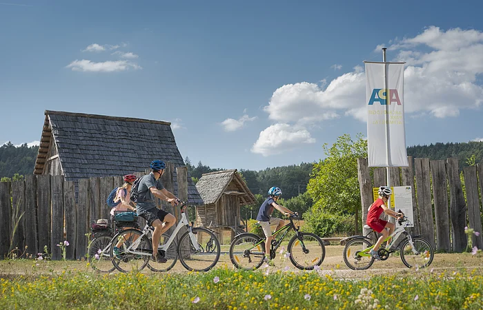 Vier Personen mit Fahrradhelmen fahren auf einem Weg an Holzzäunen und Holzhäusern bei Sonnenschein vorbei.