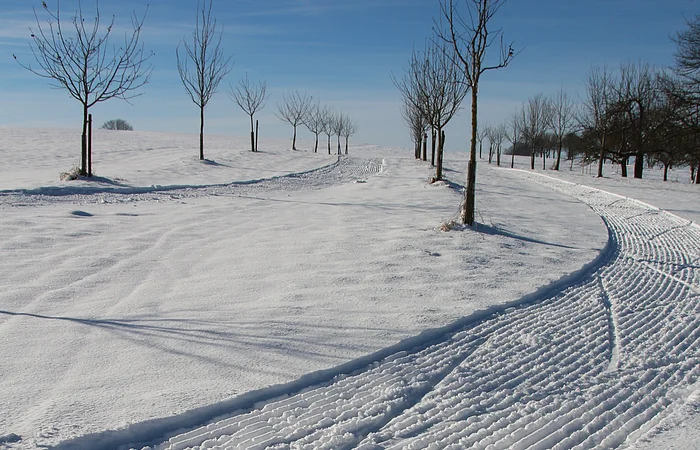 Schneebedeckter Weg mit Spuren und kahlen Bäumen unter blauem Himmel im Winter.