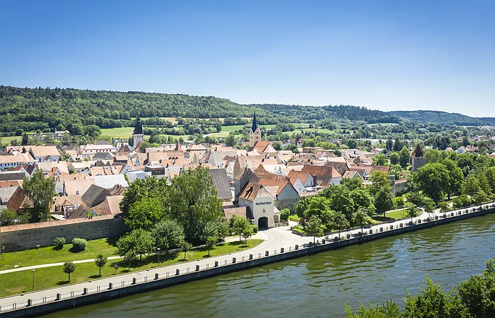 Blick auf eine Stadt mit roten Dächern, Flussufer, Bäumen und bewaldeten Hügeln im Hintergrund bei klarem Himmel.