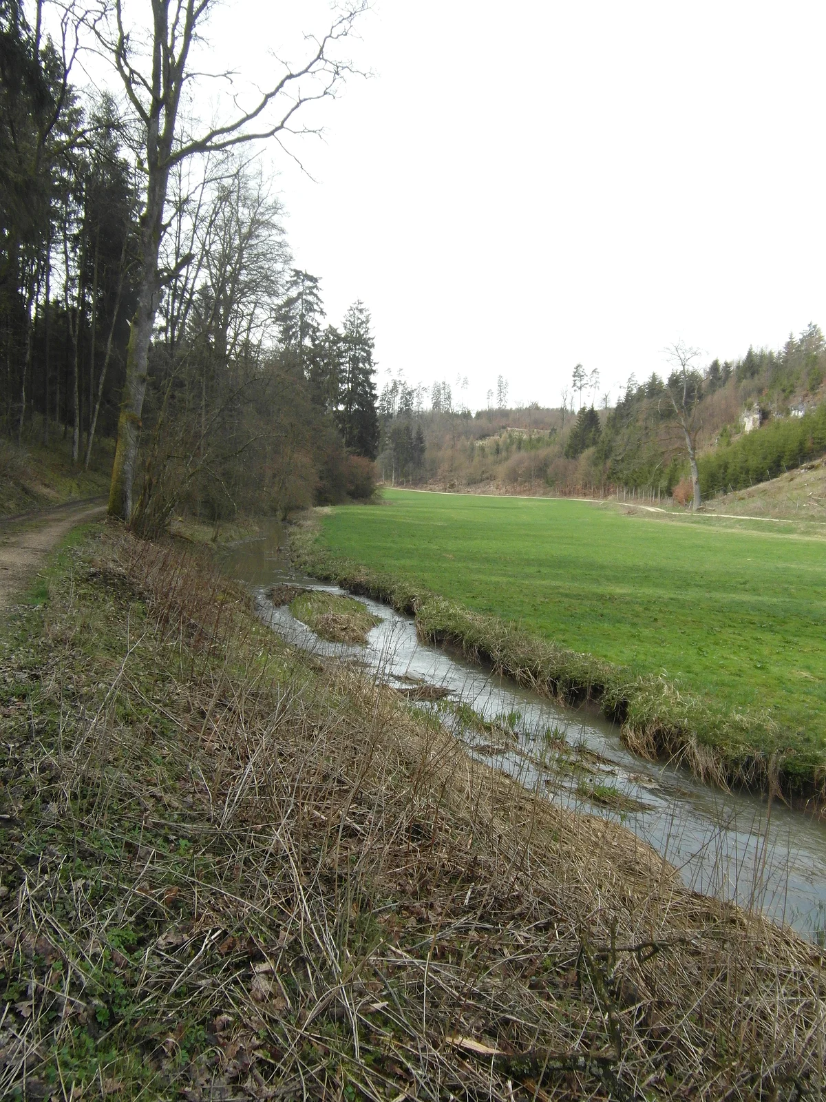 Die Gailach fließt neben einem Weg durch eine Wiese, links Bäume und Sträucher, im Hintergrund Wald und Hügel.