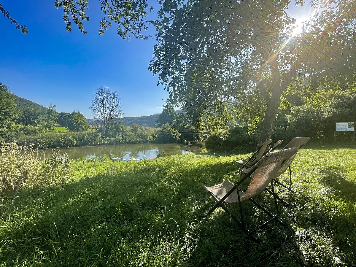 Drei leere Liegestühle stehen im Schatten eines Baums an einem Flussufer bei Sonnenschein.
