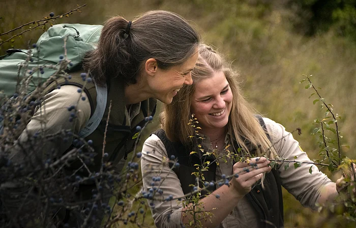 Weibliche Personen auf grün-brauner Wiese