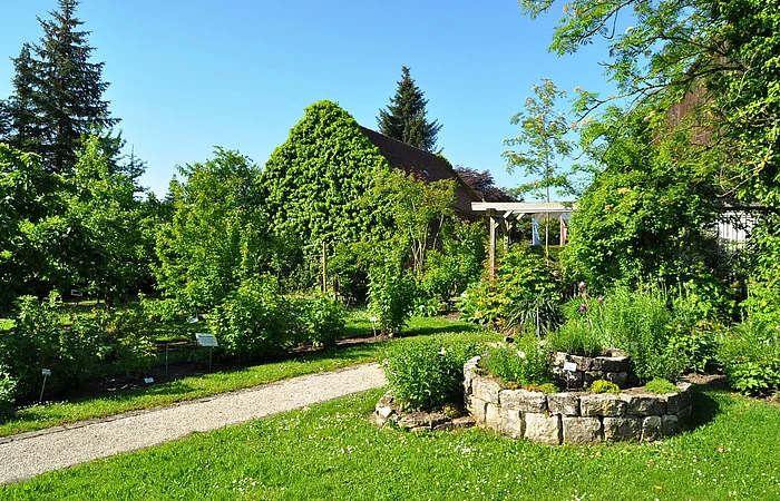 Ein Kreislehrgarten mit verschiedenen Pflanzen und Bäumen, einem Steinbeet rechts im Vordergrund, grünem Rasen und einem mit Efeu bewachsenen Haus im Hintergrund, unter blauem Himmel. Ein Schotterweg führt durch den Garten.