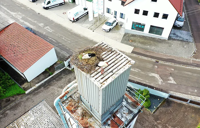 Zwei Störche in und an einem großen Nest auf einem hohen grauen Sägemehlbunker in einer Kleinstadt, umgeben von weiteren Häusern, mehreren Vans und einer Verkehrsstraße.