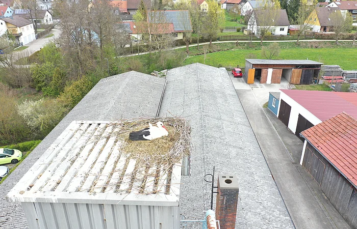 Weißstorch sitzt im Nest auf einem grauen Dach eines Sägemehlbunker in einer Kleinstadt, mit Häusern, Straßen, Bäumen und Wiesen im Hintergrund.