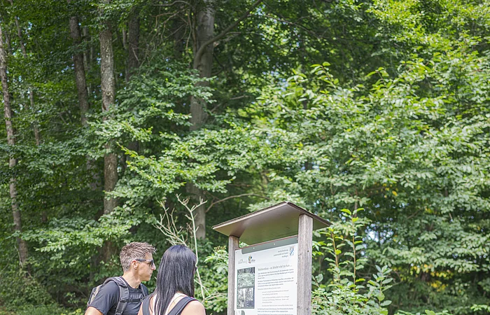Zwei Personen mit Rucksäcken lesen eine Informationstafel am Waldrand auf einem Wanderweg.