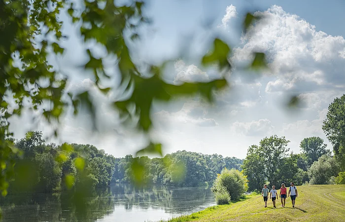 Vier Personen gehen auf einem Grasweg entlang eines Flusses unter blauem Himmel mit Wolken spazieren. Unscharfer Ast eines Baumes im Vordergrund.