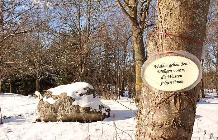 Baum mit Schild „Wälder gehen den Völkern voran, die Wüsten folgen ihnen“ im verschneiten Wald mit Felsen im Hintergrund.