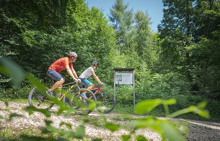 Zwei Radfahrer mit Helmen fahren im Sommer auf einem Waldweg an einer Infotafel mit kleiner Überdachung vorbei und schauen darauf, umgeben von grünen Bäumen und Büschen.