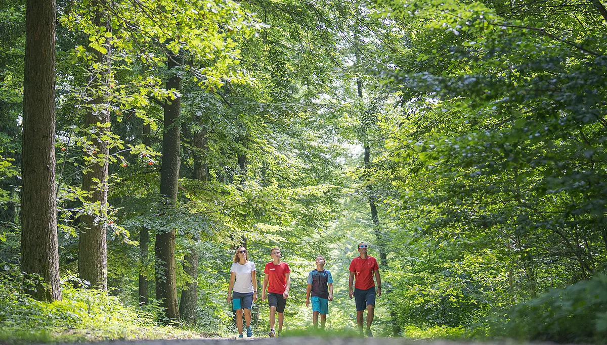 Themenpfad Zukunftswald Monheim Vier Personen spazieren auf einem Waldweg, umgeben von grünen Bäumen.