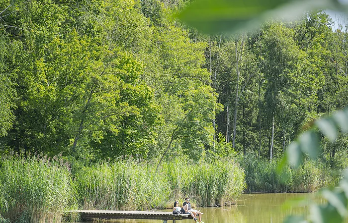 Zwei Personen sitzen auf einem Steg am See, umgeben von Bäumen und Schilf, im Vordergrund unscharfe Blätter.