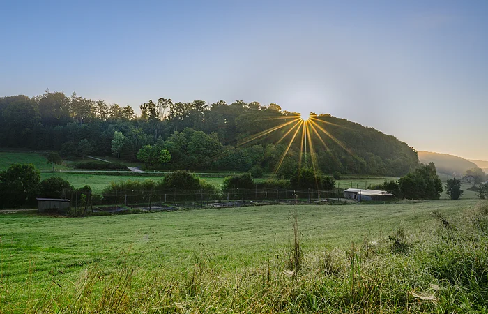Sonnenaufgang über bewaldetem Hügel mit grüner Wiese und kleinen Gebäuden im Vordergrund