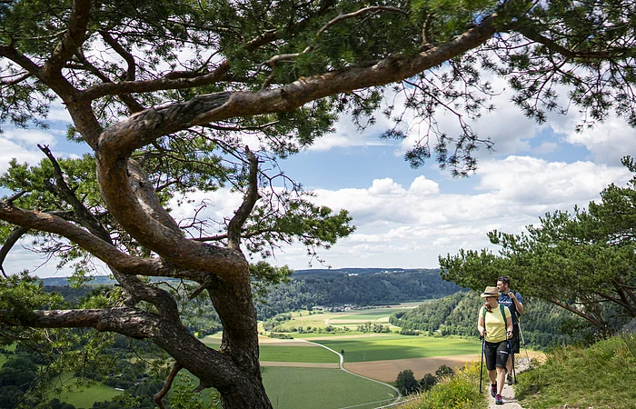 Zwei Personen wandern auf einem schmalen Pfad entlang eines Hügels mit Blick auf ein Tal und Felder.