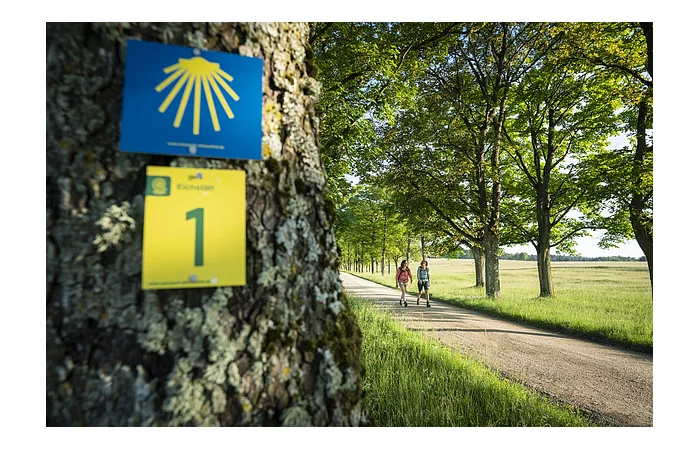 Allee bei Eichstätt