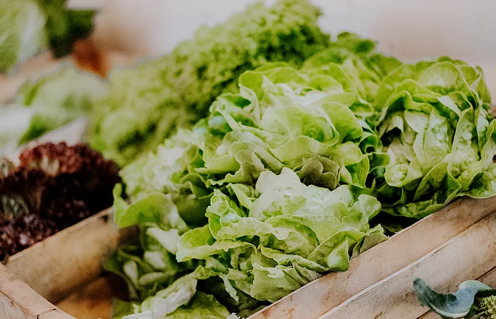 Mehrere grüne Salatköpfe liegen in einer Holzkiste, unscharfer Hintergrund mit weiteren Salatköpfen.