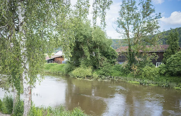 Bei Angelinas Altmühlrast