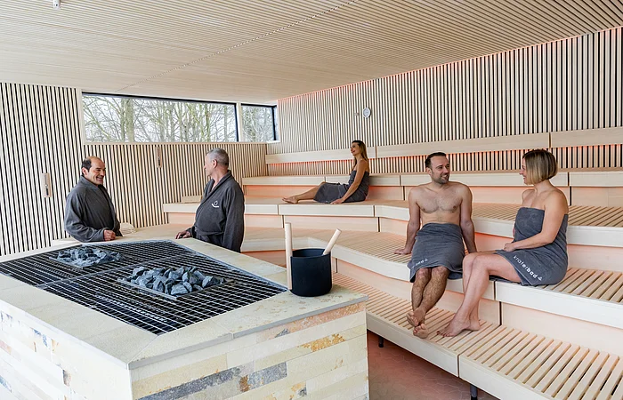 Fünf Personen in Handtüchern sitzen in einer modernen Sauna mit Holzverkleidung und Saunaofen in der Mitte.