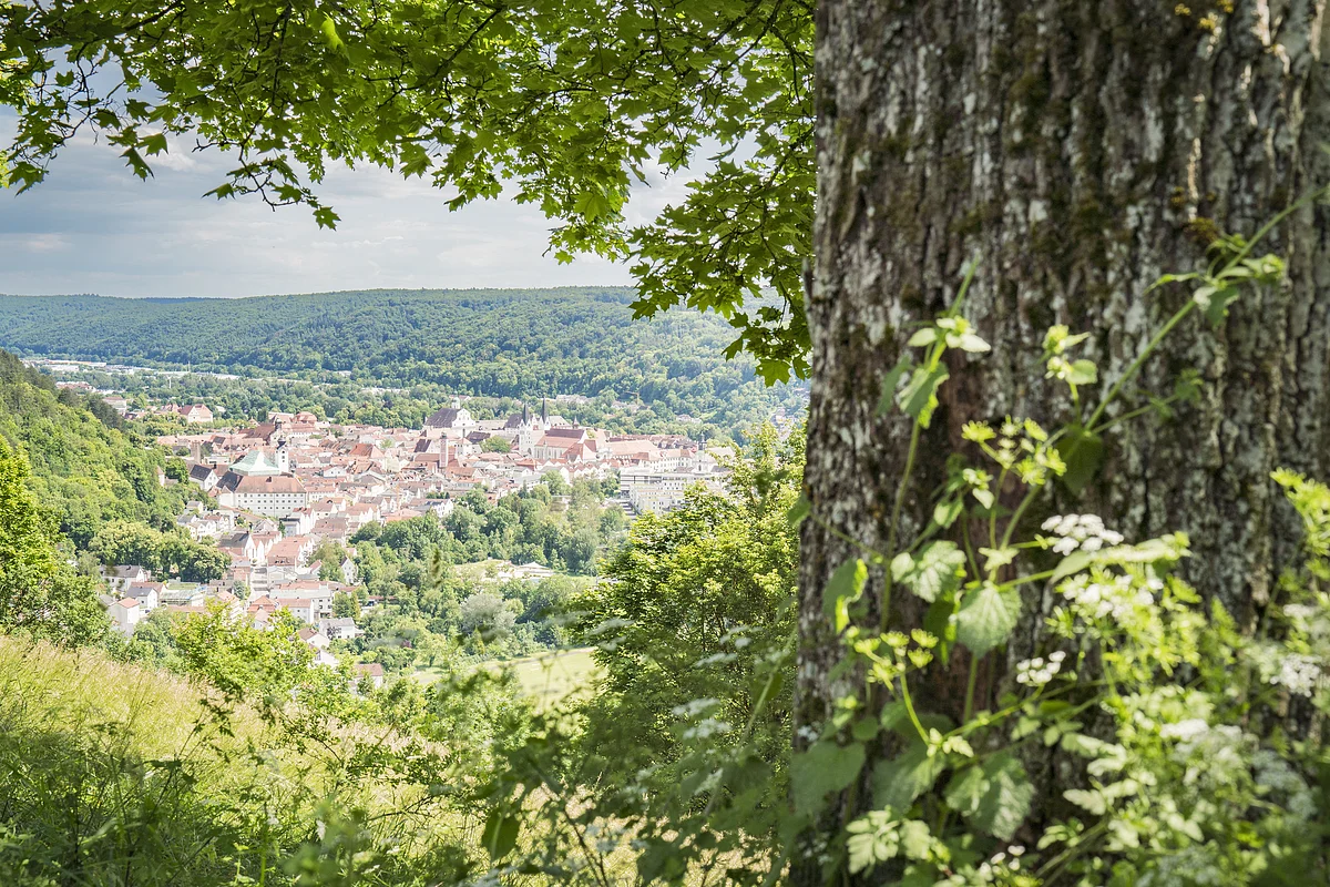Blick auf eine Stadt mit roten Dächern, umgeben von Wald, im Vordergrund ein Baumstamm und Blätter.