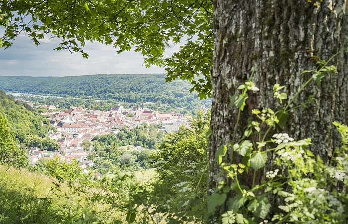 Blick auf eine Stadt mit roten Dächern, umgeben von Wald, im Vordergrund ein Baumstamm und Blätter.
