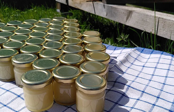 Mehrere kleine Gläser mit goldfarbenen Deckeln stehen auf einem blau-weiß karierten Tuch neben einem Bienenstock im Freien.