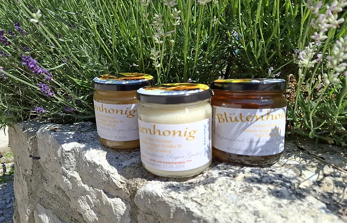 Drei Honiggläser auf Steinmauer vor grünem Lavendel mit lila Blüten im Sonnenlicht