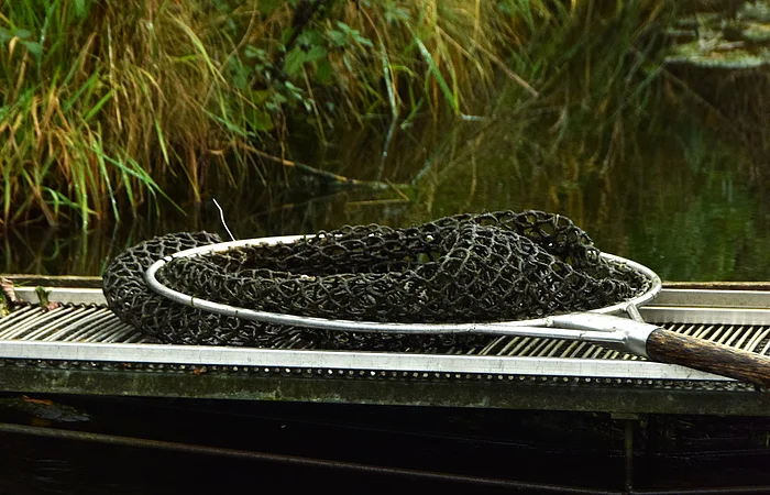 Gefaltetes Fischernetz mit Holzgriff liegt auf einem Steg am Ufer eines Gewässers mit Pflanzen.