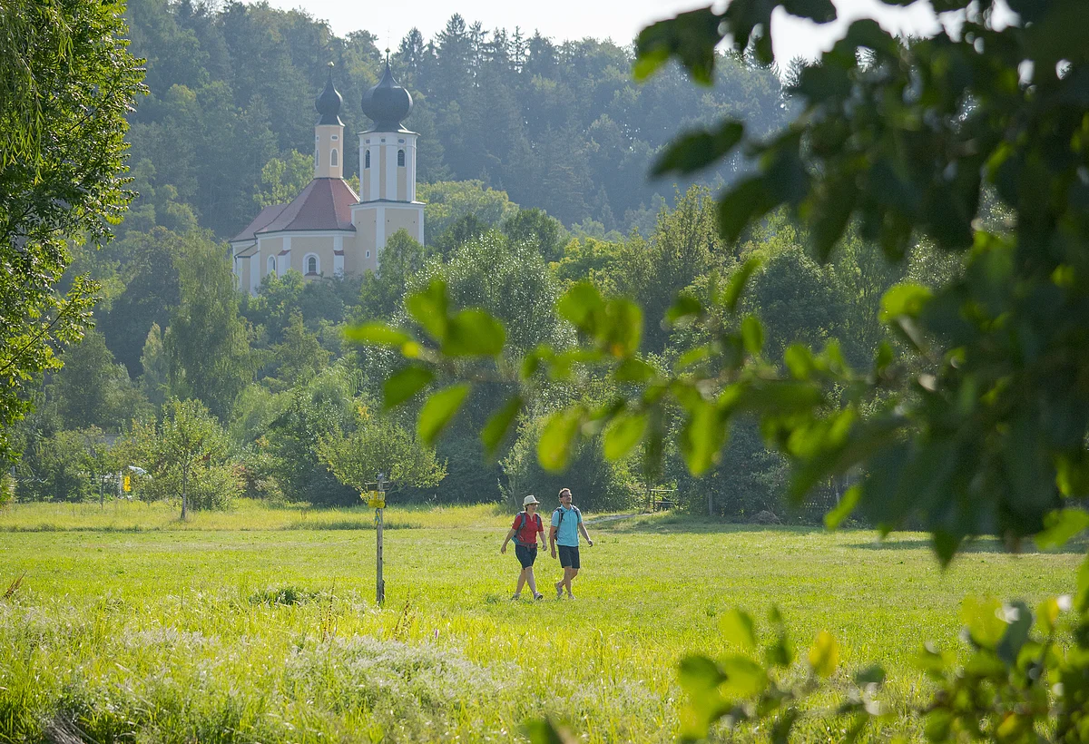 Wallfahrtskirche Breitenbrunn Ein Pärchen wandert unterhalb der Wallfahrtskirche Breitenbrunn entlang satter grüner Wiesen. Die Wallfahrtskirche ist von grünen Wäldern umgeben.