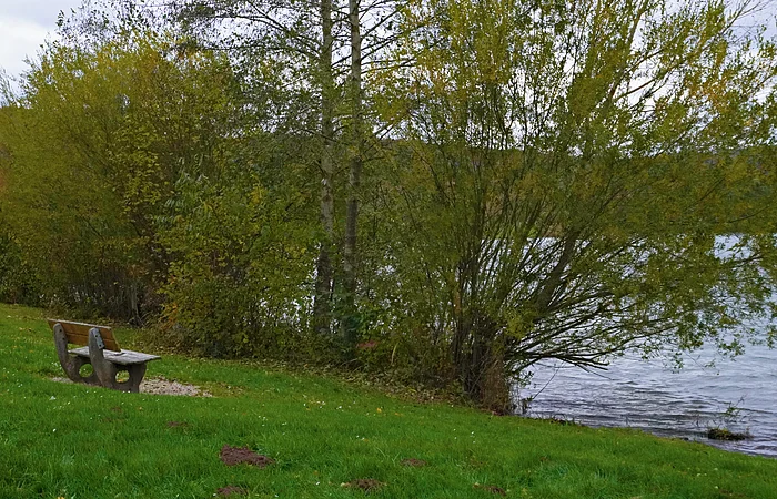 Bank auf Wiese am Ufer eines Sees, umgeben von Bäumen mit grünem Laub an einem bewölkten Tag.