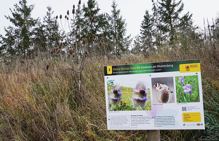 Schild mit Informationen zu Biotop und Insekten vor trockenem Gras und Nadelbäumen im Hintergrund
