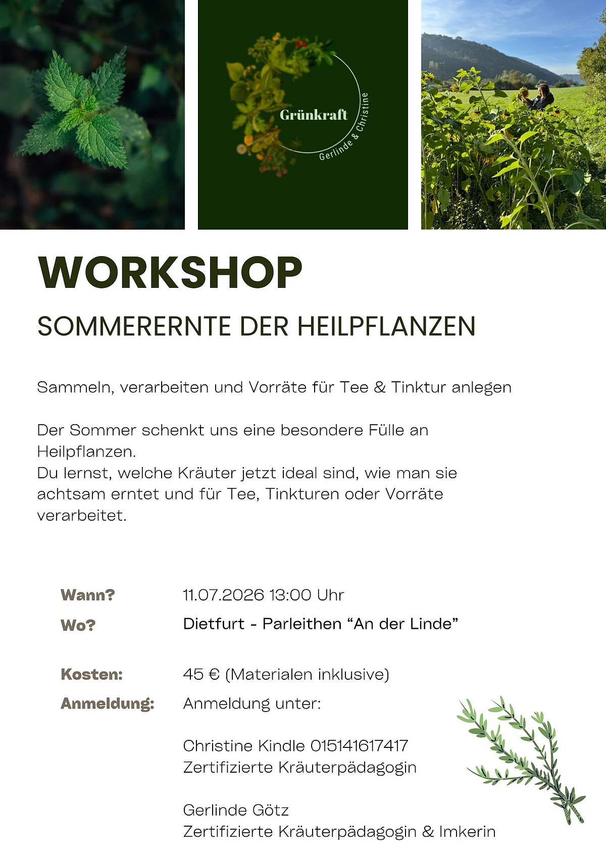 Workshop Sommerernte der Heilpflanzen