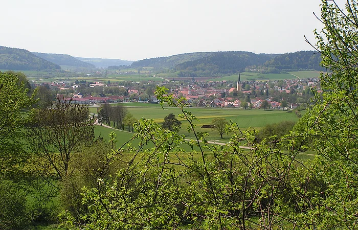 Blick auf Dietfurt von der Sommerleiten