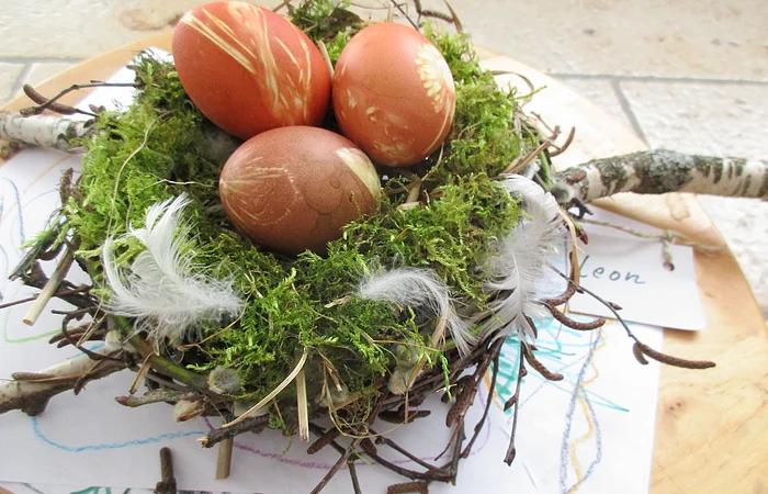 Nest aus Moos, Zweigen und Federn mit drei rotbraunen Ostereiern auf Zeichnungen und Holzplatte