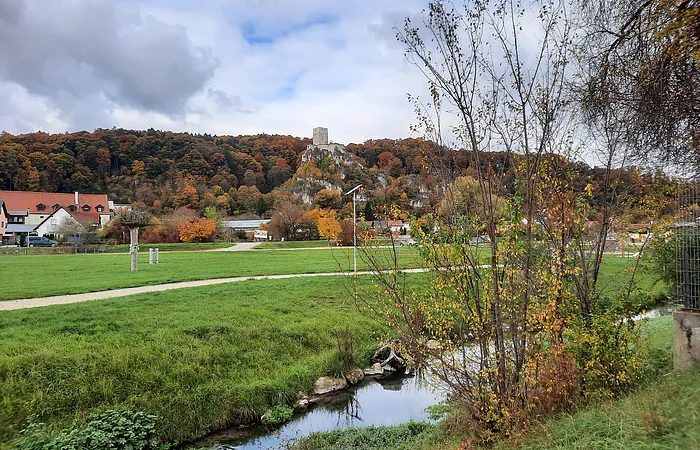Grüne Wiese mit kleinem Bach, herbstliche Bäume und Burg auf bewaldetem Hügel im Hintergrund unter bewölktem Himmel.