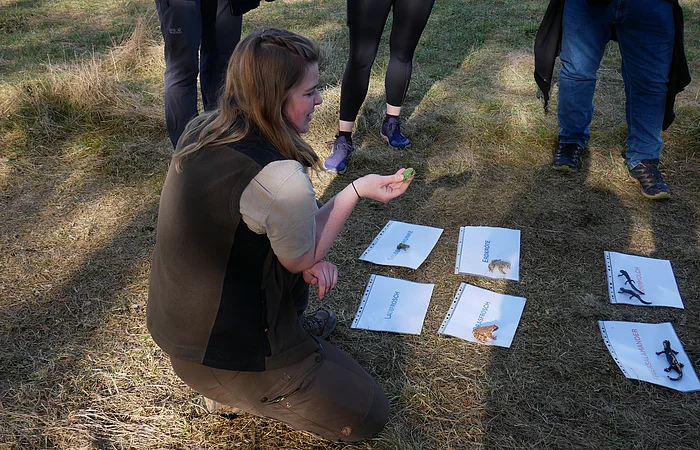 Frau kniet auf Wiese, hält Frosch, umgeben von drei stehenden Personen und Tierbildern auf Boden.