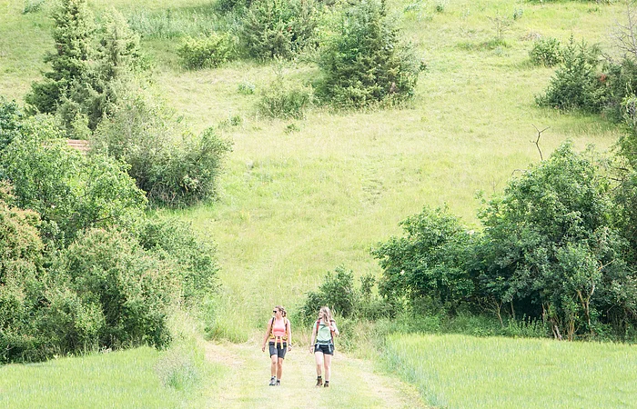 Zwei Wanderer gehen auf einem Weg durch eine grüne Wiesenlandschaft mit Wacholdersträuchern.
