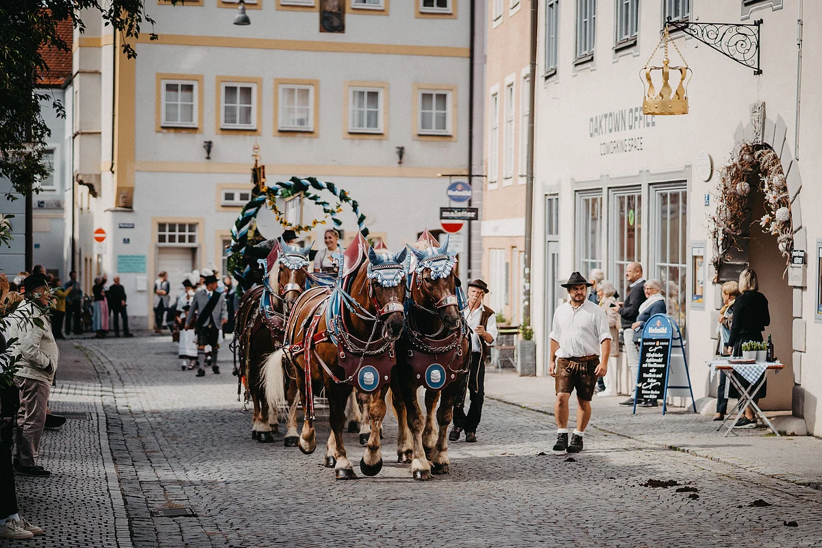 Traditionelle Pferdekutsche am Eichstätter Volksfestumzug