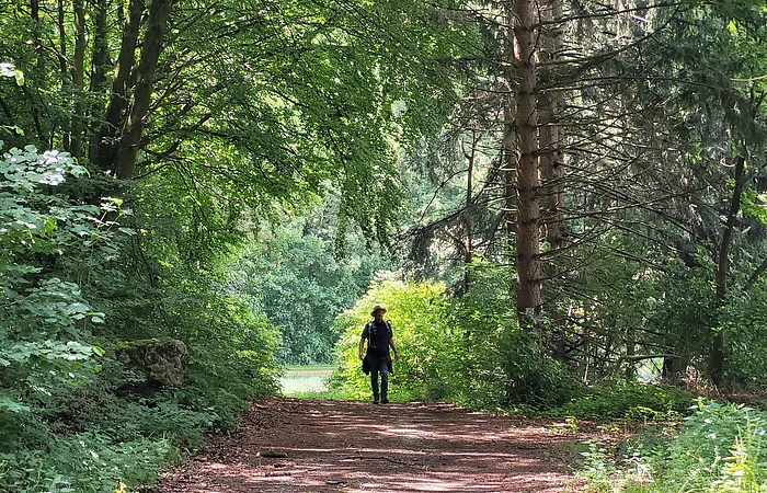 Person mit Hut geht auf einem Waldweg, umgeben von dichtem grünem Laub und Bäumen.