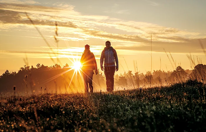 Zwei Personen gehen bei Sonnenaufgang über eine Wiese mit hohem Gras und Bäumen im Hintergrund.