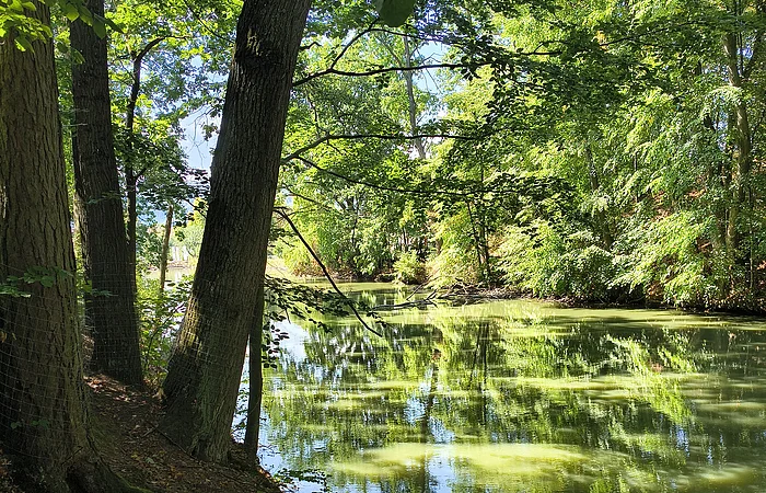 Bank am schattigen Ufer eines Flusses mit Bäumen und Spiegelungen im Wasser bei Sonnenschein