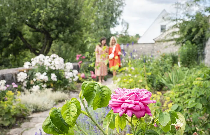 Zwei Freundinnen laufen im Rosengarten.