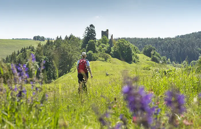 Wanderer in Bechthal