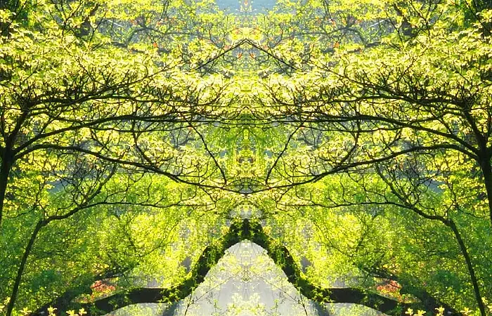Eine rote Brücke über einem kleinen Bach. Umgeben von Grünen Bäumen durch die die Sonne strahlt.