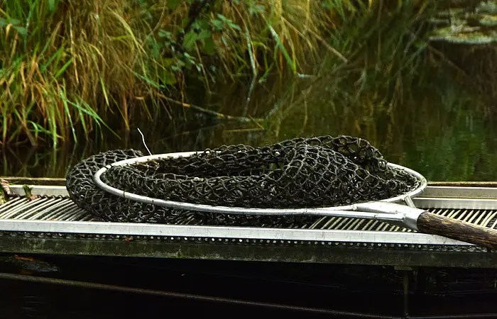 Gefaltetes Fischernetz mit Holzgriff liegt auf einem Steg am Ufer eines Gewässers mit Pflanzen.